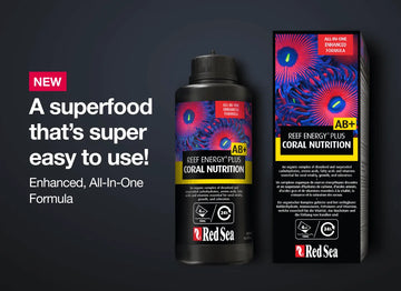 Red Sea Reef Energy AB Plus 500ml - Amazing Amazon